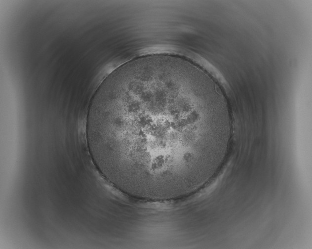 X0000110980937200906261426