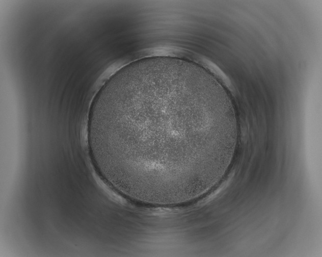 X0000110980938200906261426