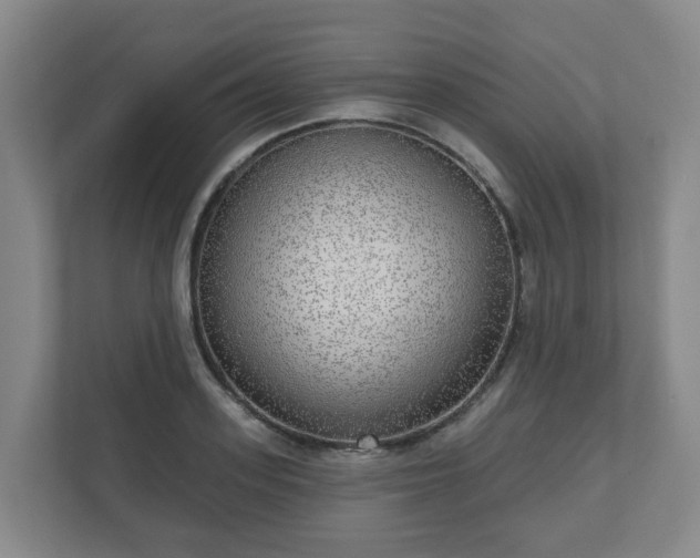 X0000110980939200906261426