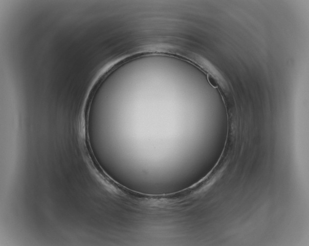 X0000110980940200906261426