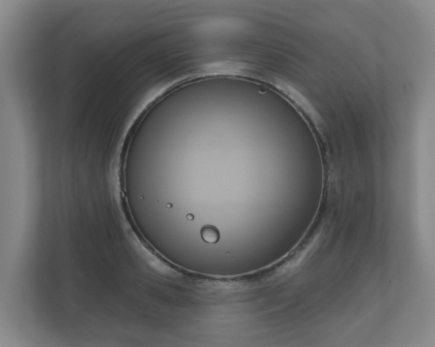 X0000110980941200906261426