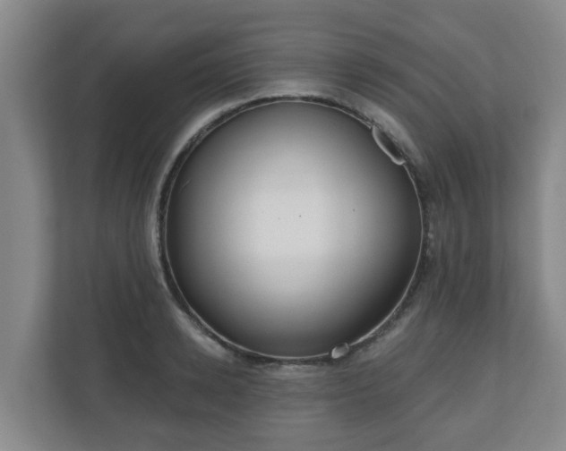 X0000110980942200906261426