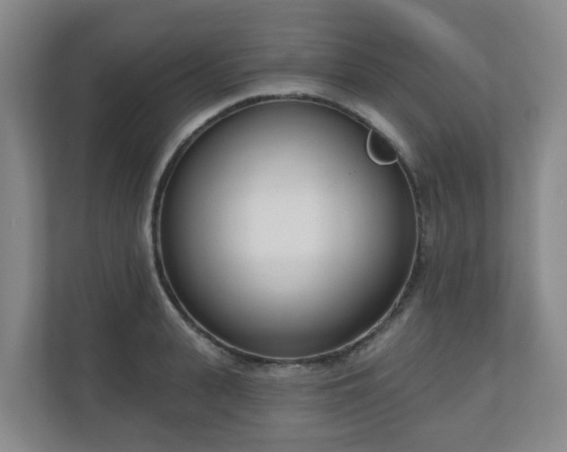 X0000110980943200906261426