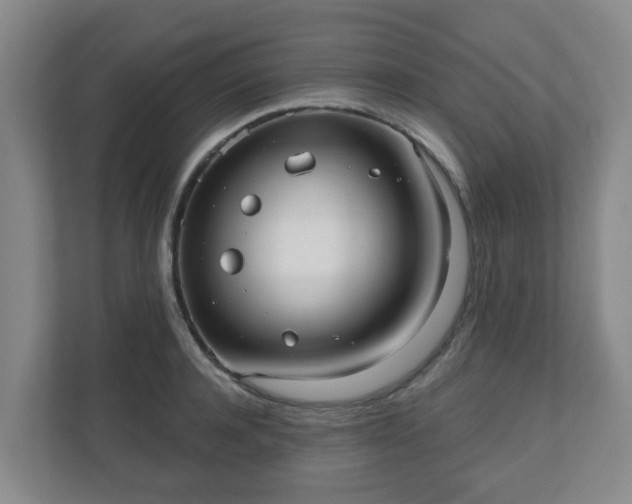 X0000110980944200906261426