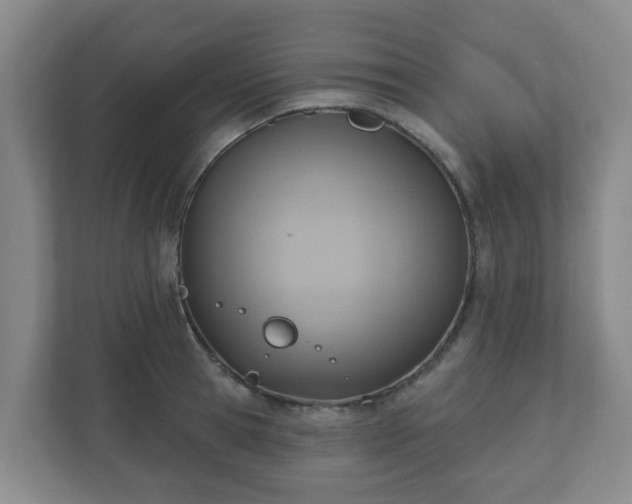 X0000110980945200906261426