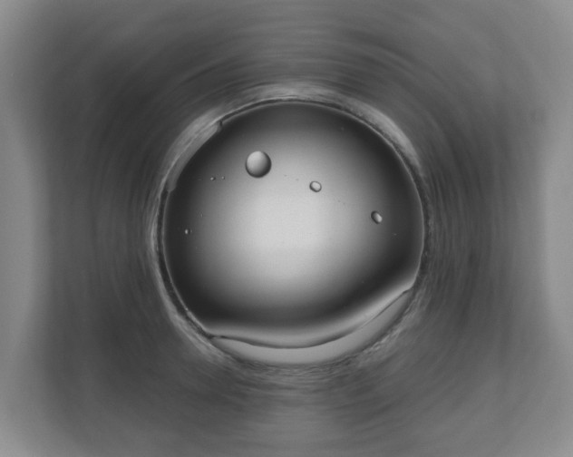 X0000110980946200906261426