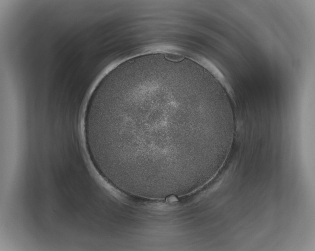 X0000110980947200906261426