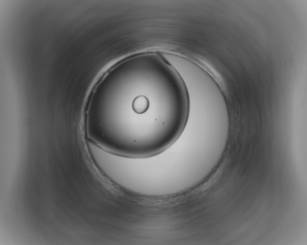 X0000110980948200906261426