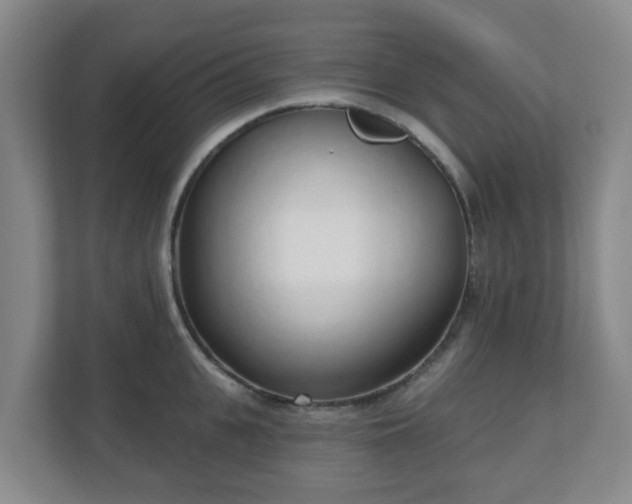 X0000110980951200906261426