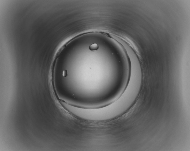 X0000110980952200906261426