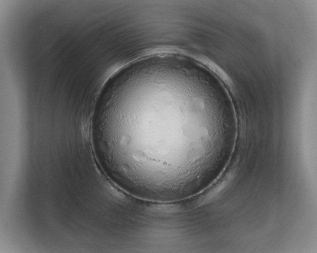 X0000110980953200906261426