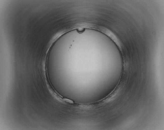 X0000110980954200906261426