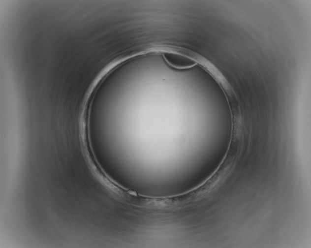 X0000110980955200906261426