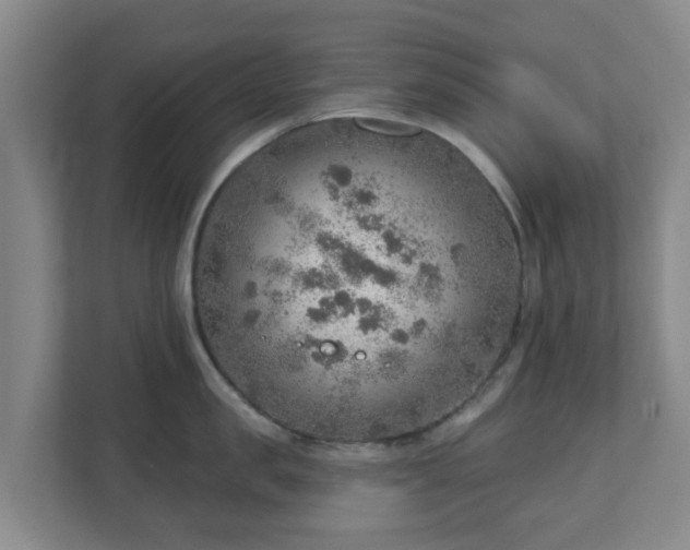 X0000110980957200906261426