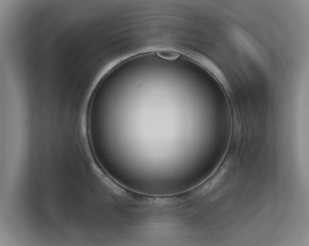 X0000110980958200906261426