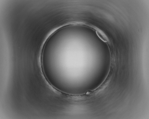 X0000110980959200906261427