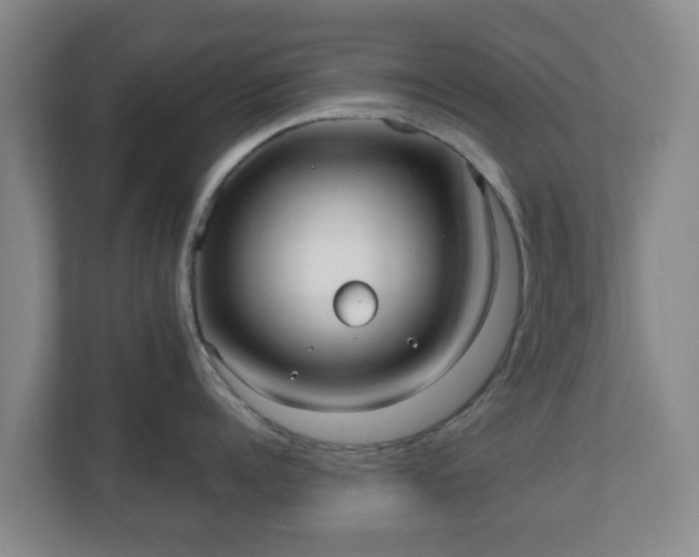 X0000110980960200906261427