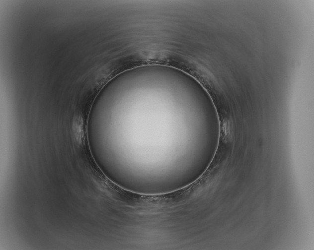 X0000110980963200906261426