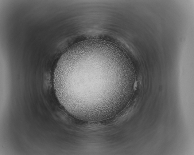 X0000110980964200906261426