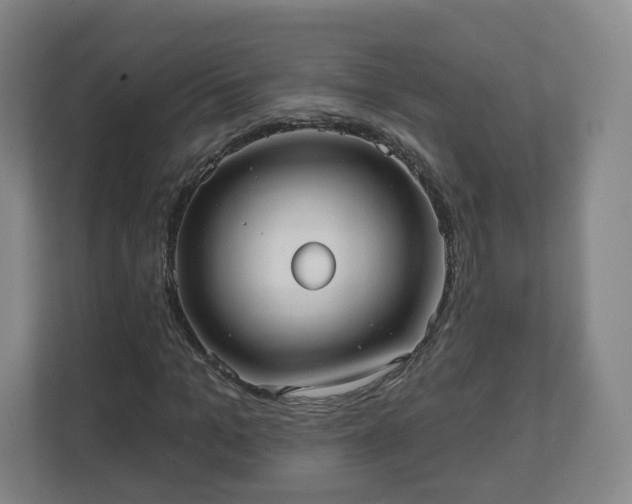 X0000110980965200906261426