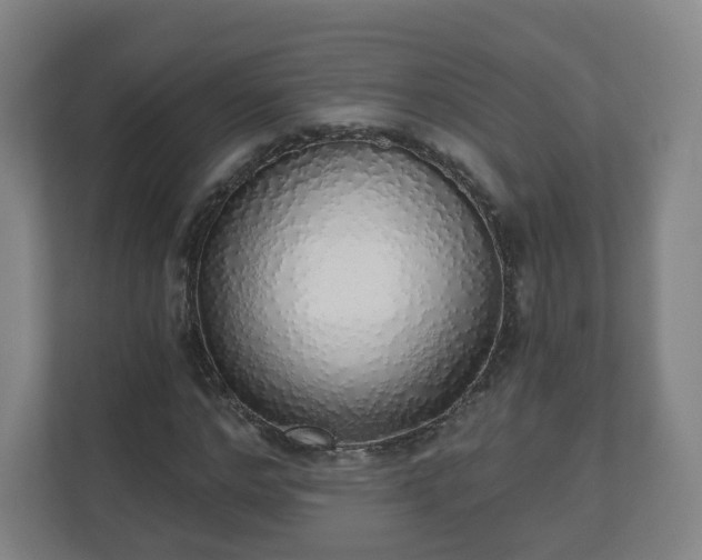 X0000110980968200906261426