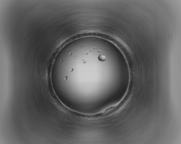 X0000110980969200906261426