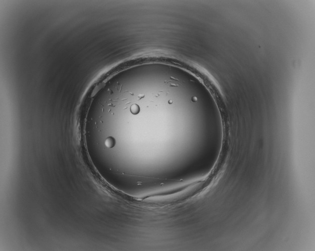 X0000110980973200906261426