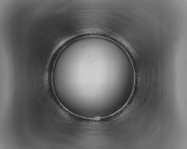 X0000110980975200906261426