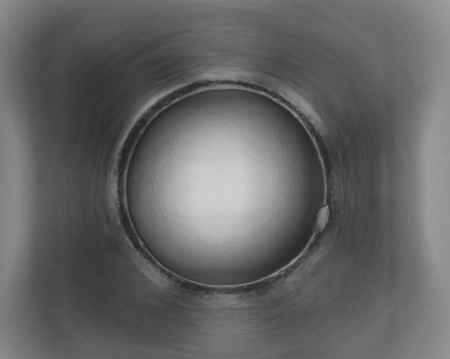 X0000110980976200906261426