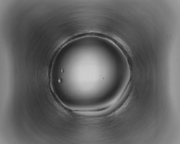 X0000110980977200906261426