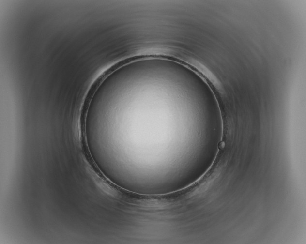 X0000110980980200906261426