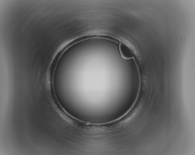 X0000110980981200906261426