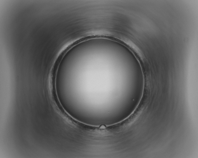 X0000110980983200906261426