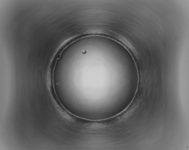 X0000110980984200906261426