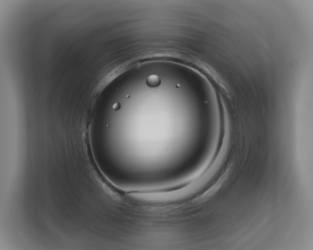 X0000110980985200906261426