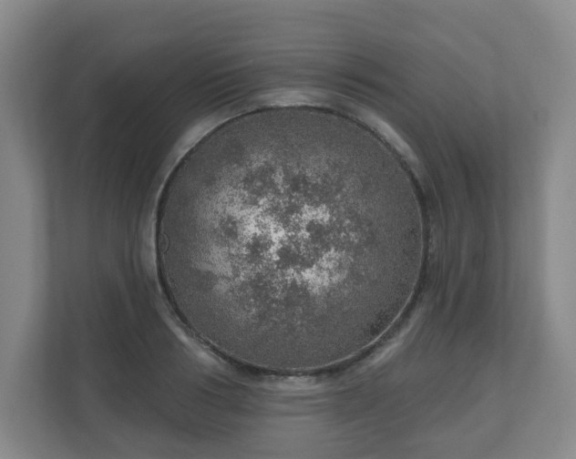 X0000110980986200906261426