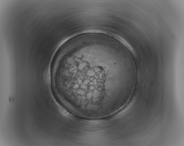 X0000110980988200906261426