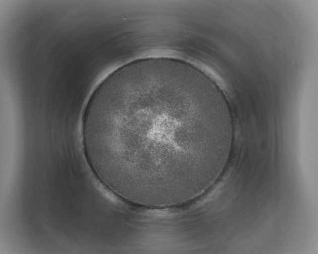 X0000110980990200906261426