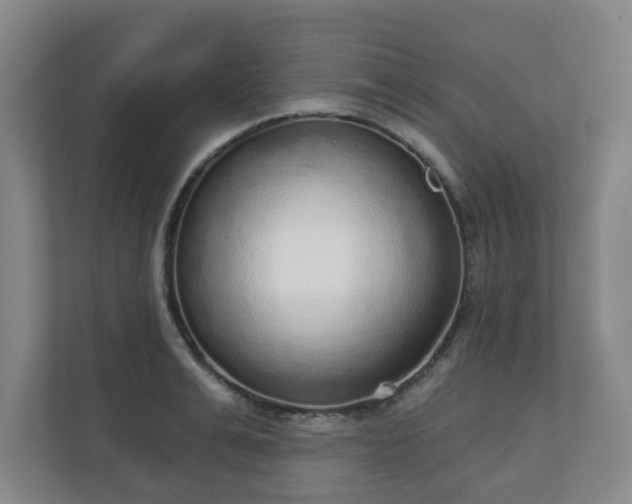 X0000110980991200906261425