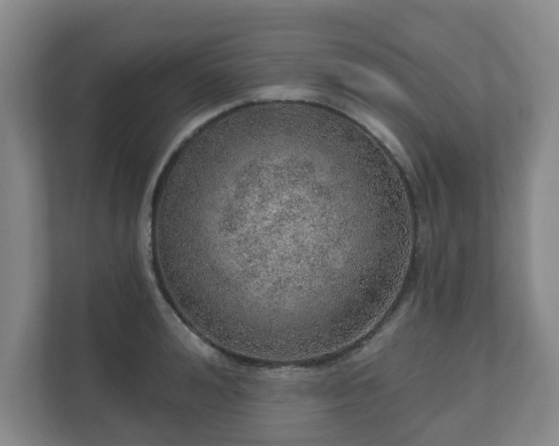 X0000110980992200906261425