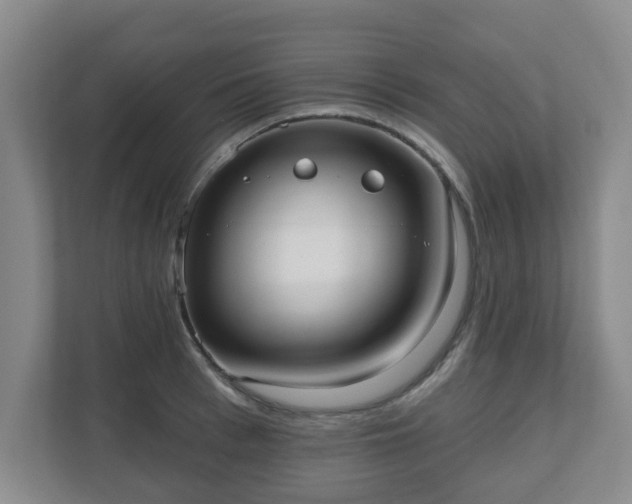 X0000110980993200906261425