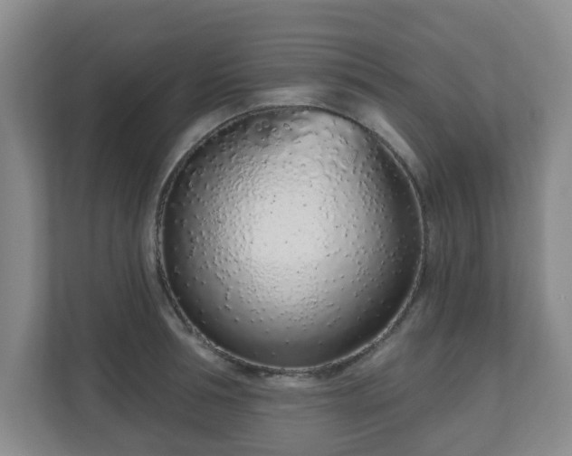 X0000110980994200906261425