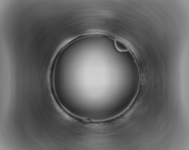 X0000110980995200906261425