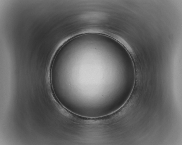 X0000110980996200906261425