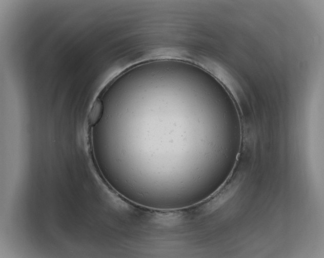 X0000110980997200906261425