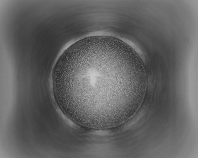 X0000110980998200906261425