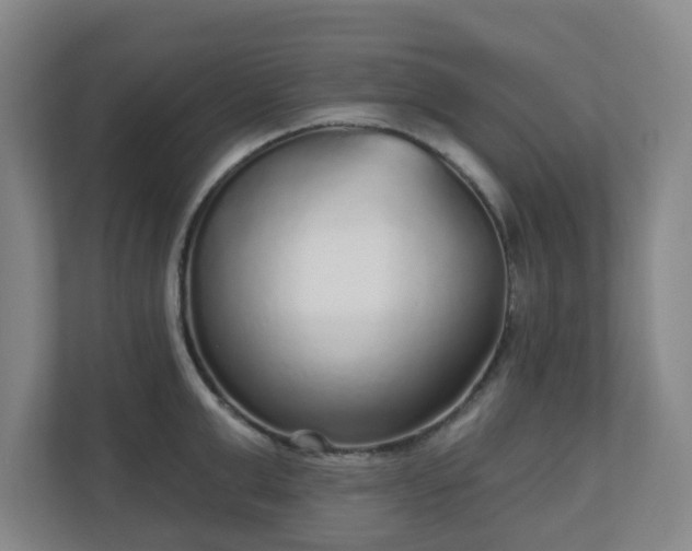 X0000110980999200906261425