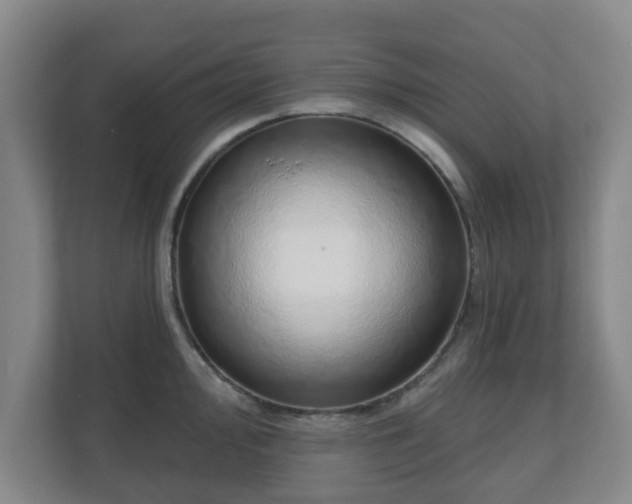 X0000110981000200906261425