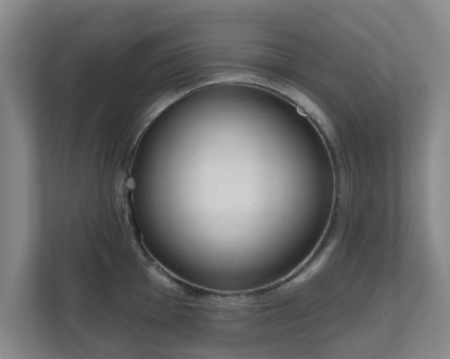 X0000110981001200906261425