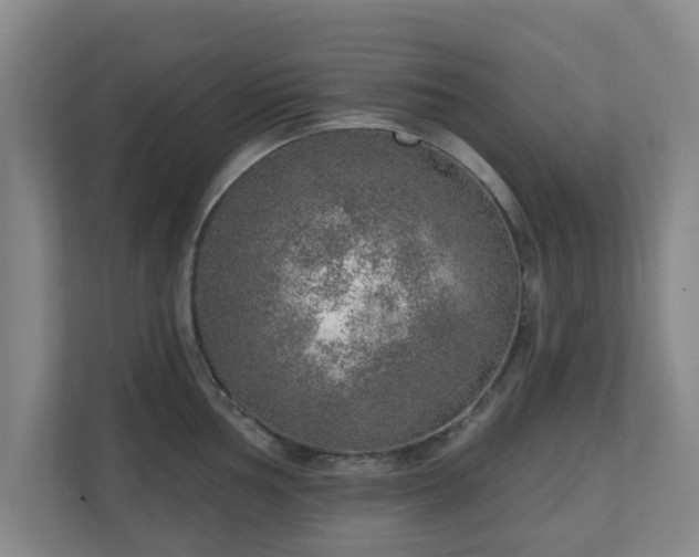 X0000110981002200906261425